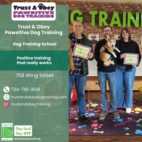Trust and Obey Pawsitive Dog Training  Downtown Plymouth Michigan 48170